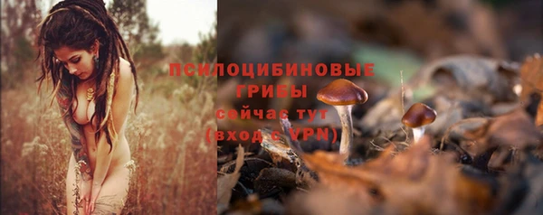 прущая мука Арсеньев