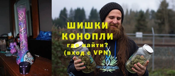 ГАЛЛЮЦИНОГЕННЫЕ ГРИБЫ Михайлов