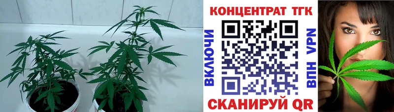 Дистиллят ТГК вейп с тгк  Шумерля 
