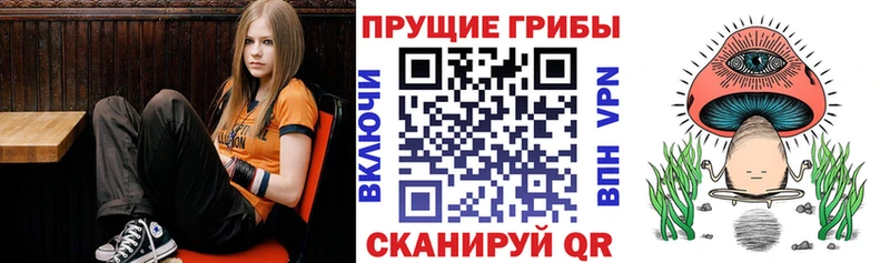 Галлюциногенные грибы Cubensis  хочу наркоту  Шумерля 